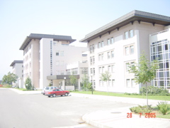 DSC02282.JPG