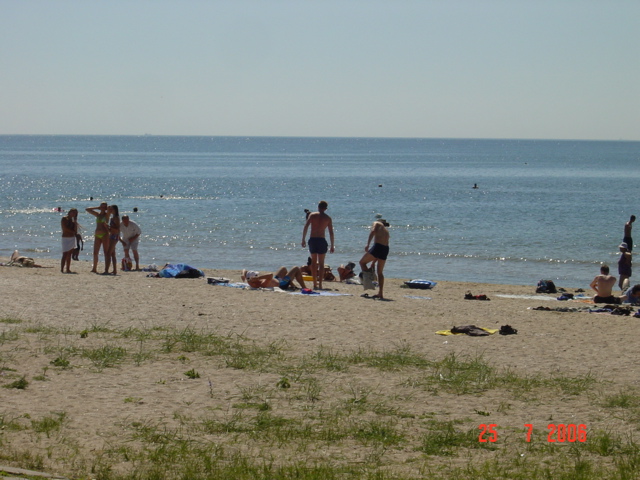 DSC03525.JPG